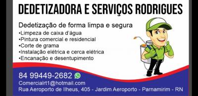 DEDETIZADORA E SERVICOS  EM GERAL
